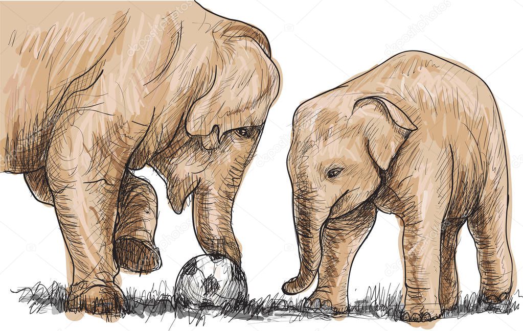 elephant playing football, sketch free hand draw illustration