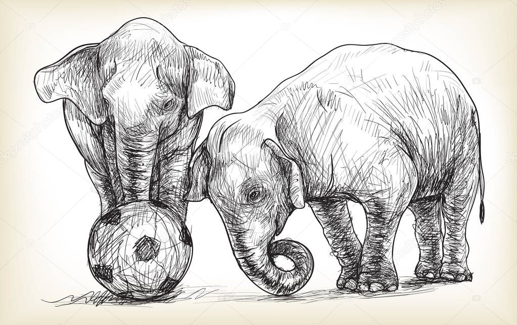 elephant playing football, sketch free hand draw illustration