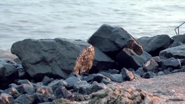 Fale morza są rozbijali granit czarny kamienie, które leżą w ich drodze do plaży — Wideo stockowe