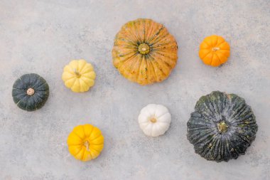 Birkaç renkli kabaklar 