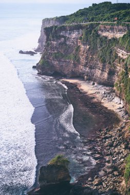 Okyanus ve kayaların altında bitkiler