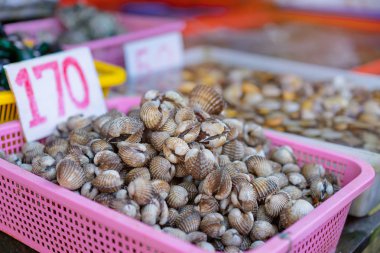 Seafood market raflarında