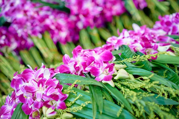 Orchid квіти візерунком — стокове фото