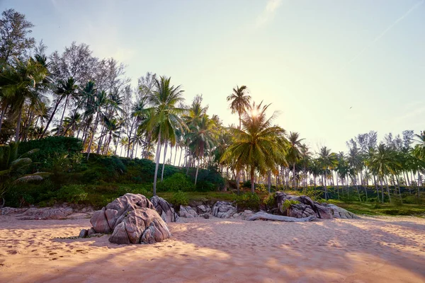 Dia ensolarado na praia tropical — Fotografia de Stock