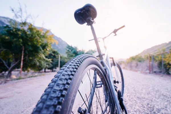 Mountain cykel på väg — Stockfoto