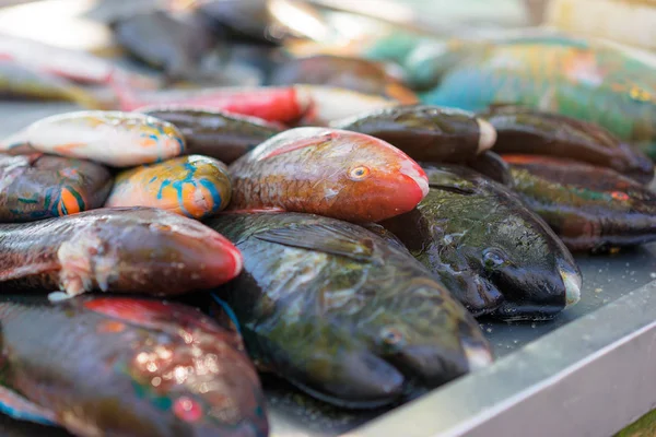 Mariscos en los estantes del mercado —  Fotos de Stock