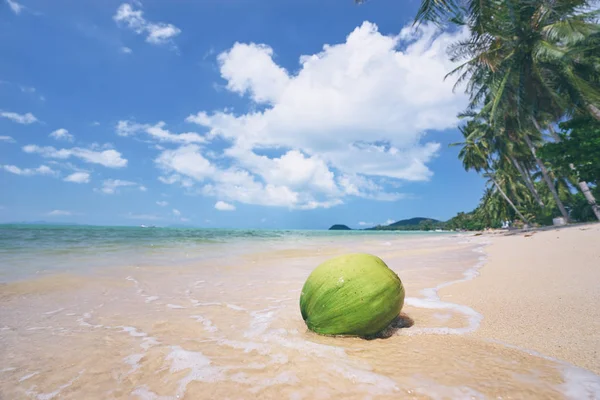 하얀 모래에 녹색 코코넛 — 스톡 사진