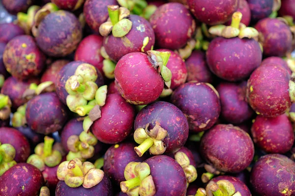다채로운 magosteen 과일 — 스톡 사진