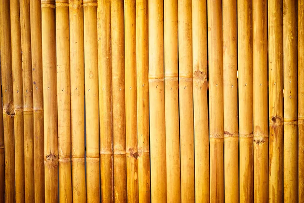 Pared de bambú amarillo —  Fotos de Stock