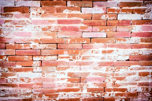 Brick wall texture — Stock Photo, Image