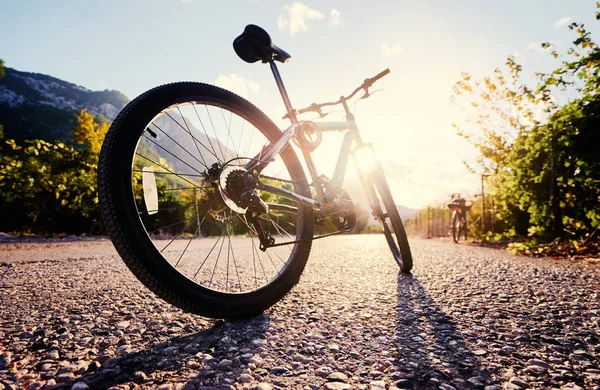 山自転車道 — ストック写真