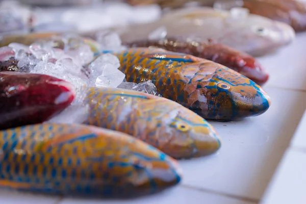 Mariscos en los estantes del mercado — Foto de Stock