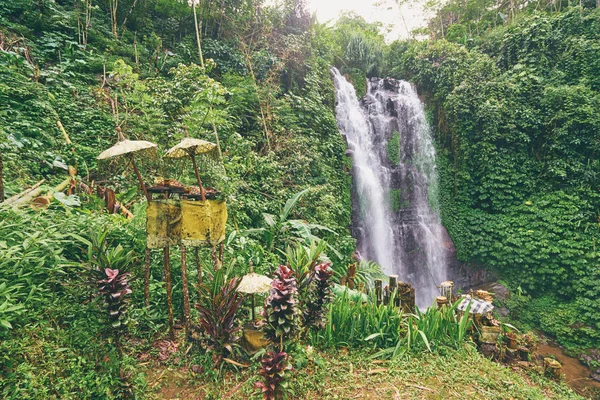 Cascada tropical en la selva —  Fotos de Stock