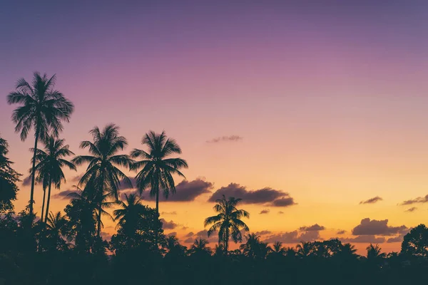 Wunderschöner tropischer Sonnenuntergang — Stockfoto