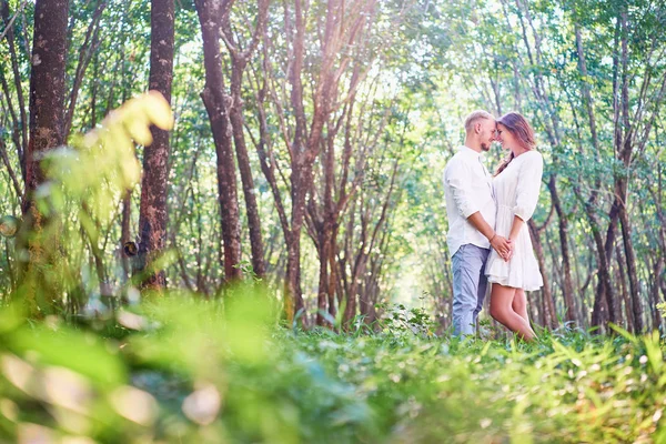 Пара обнимается в зеленом саду — стоковое фото