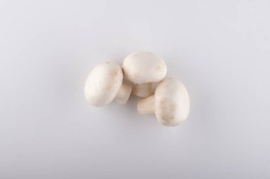 Beyaz arka planda yakın plan yeni şampiyon.