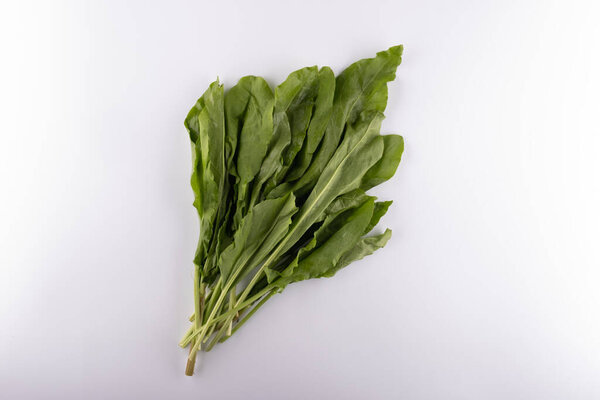 свежий пучок скорби крупным планом на белом фоне
