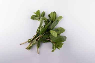 Beyaz arka planda izole edilmiş taze nane yaprakları. Kapat.