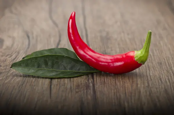 Red chili pepper i — Φωτογραφία Αρχείου