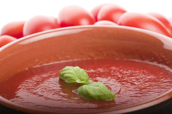 Pot with tomato — Stock Photo, Image