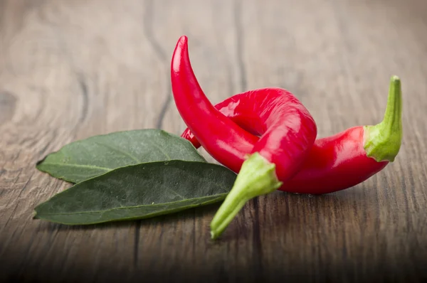 Peperoncino rosso — Foto Stock