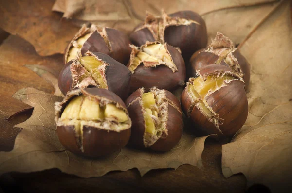 Group of chestnuts — Stock Photo, Image