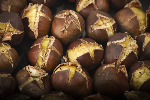 Group of chestnuts Stock Image