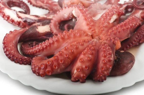 Fresh octopus with parsley — Stock Photo, Image
