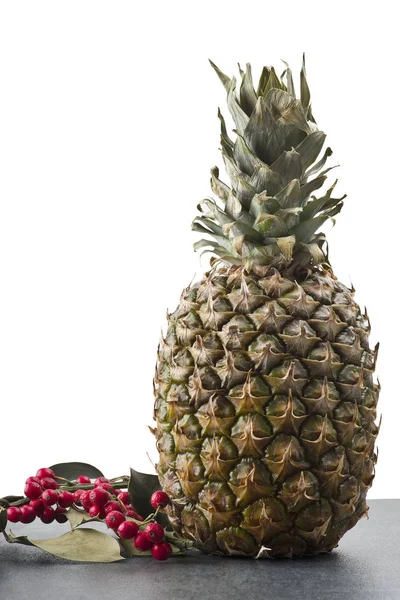 Oddział holly i Ananas owoce — Zdjęcie stockowe