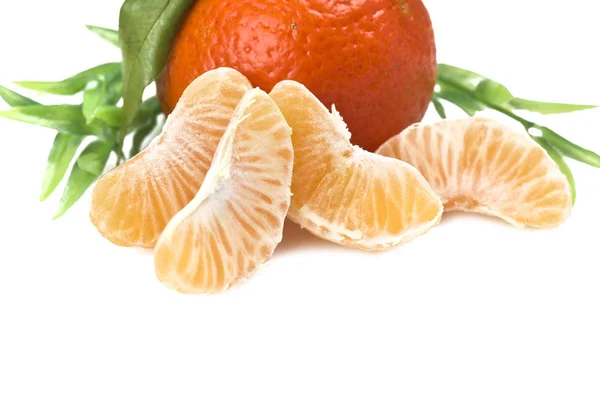 Mandarijn of tangerine fruit — Stockfoto