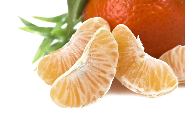 Mandarijn of tangerine fruit — Stockfoto