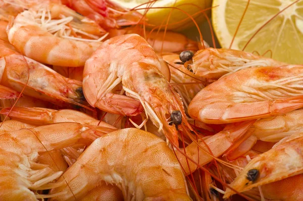 Group of fresh raw shrimp — Stock Photo, Image