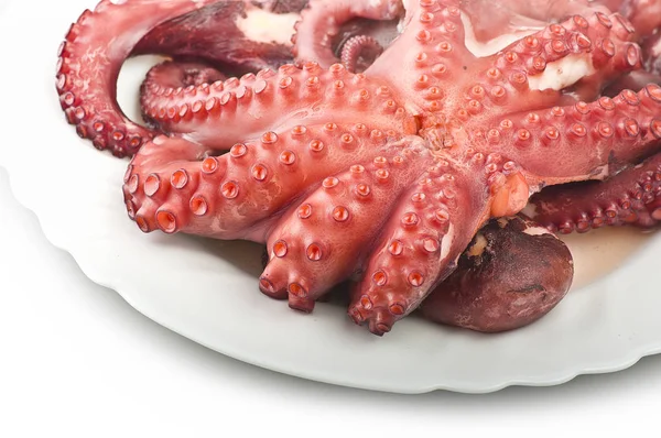 Two boiled octopus — Stock Photo, Image