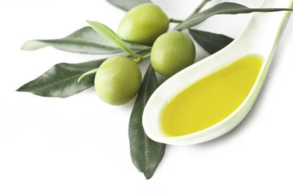 Větev s olivové listy — Stock fotografie