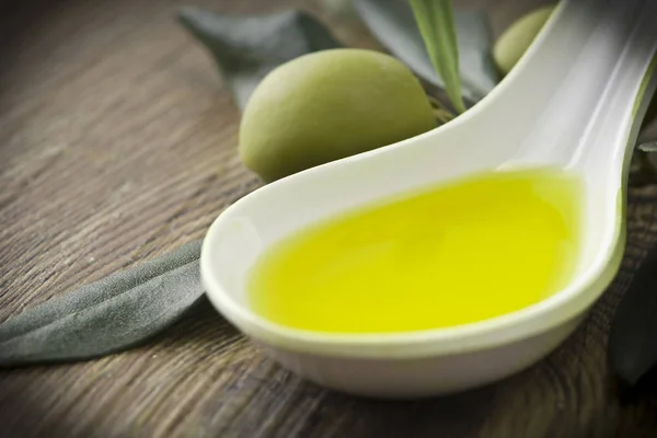 Gren med olivolja blad — Stockfoto