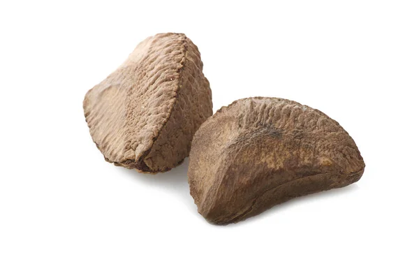 Brazil walnut fruit — Stock Photo, Image