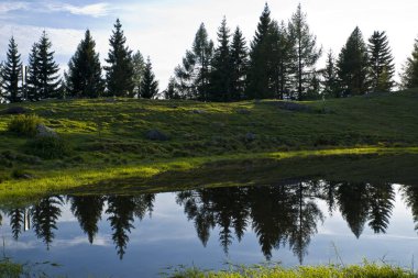 Göl dağ orman manzarası ile