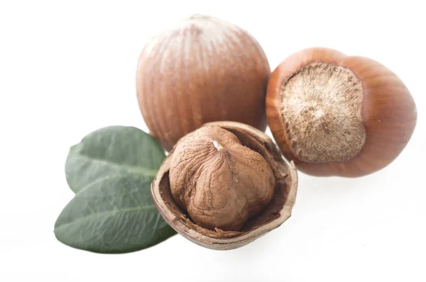 Shelled hazelnuts close up — Stock Photo, Image