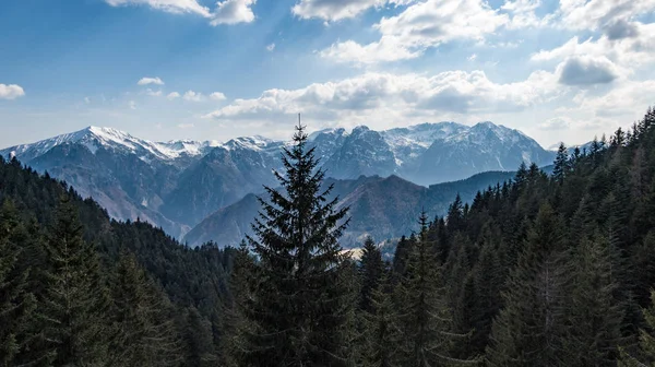 Göl Dağı Orman Manzara Monte Avaro Alpi Orobie — Stok fotoğraf