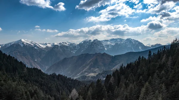 See Mit Bergwald Landschaft Monte Avaro Alpi Orobie — Stockfoto