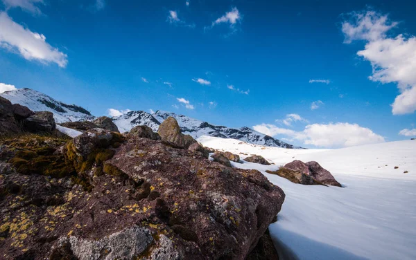 See Mit Bergwald Landschaft Monte Avaro Alpi Orobie — Stockfoto
