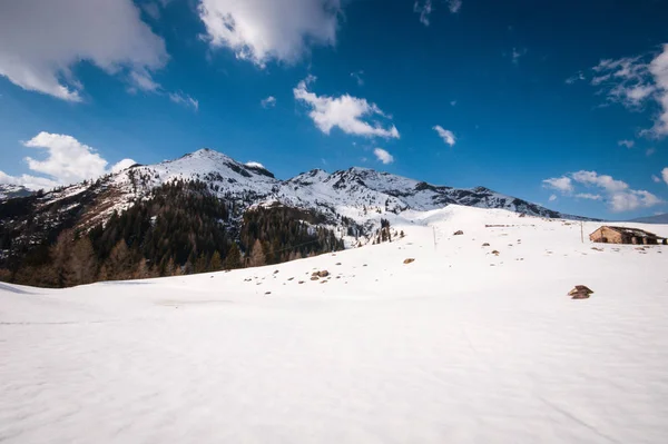 See Mit Bergwald Landschaft Monte Avaro Alpi Orobie — Stockfoto