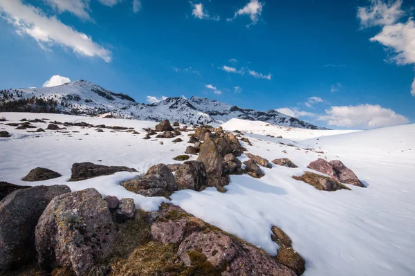 Lake Met Berg Woud Landschap Monte Avaro Alpi Orobie Rechtenvrije Stockfoto's