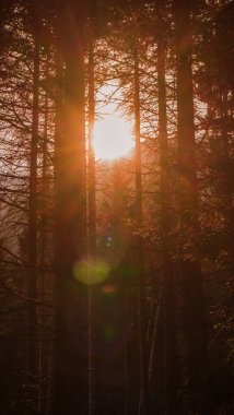 Monte San Primo, Lombardy, İtalya 'dan görüntü, Como Prealps Nov-24-2019' da yer alan dağ