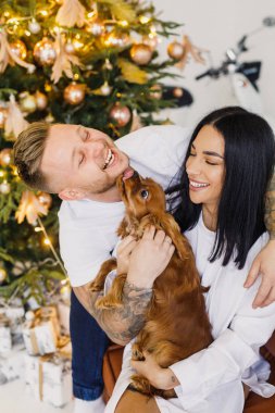 Beyaz elbiseli genç bir çift dairelerinde küçük bir köpekle eğleniyorlar.