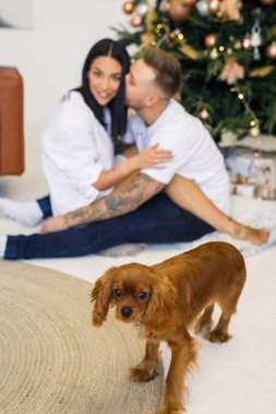 Beyaz elbiseli genç bir çift dairelerinde küçük bir köpekle eğleniyorlar.