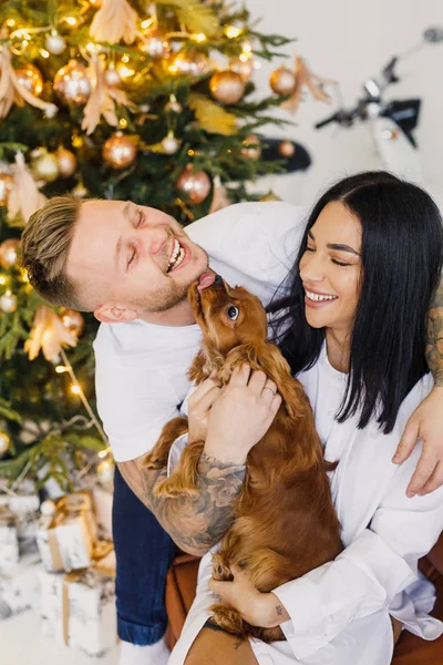 Jeune Beau Couple Vêtements Blancs Amuser Avec Petit Chien Dans — Photo