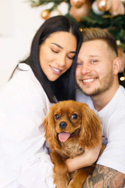 Jeune Beau Couple Vêtements Blancs Amuser Avec Petit Chien Dans — Photo