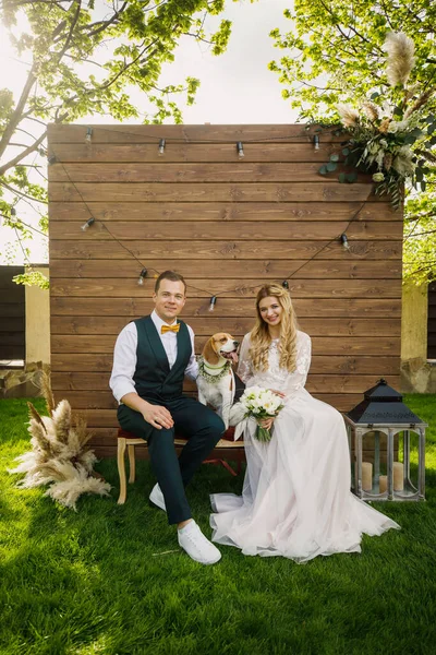 Genç ve güzel bir düğün çifti bir köpekle oturuyor. Gelin güzel bir elbise içinde, damat ise klasik bir takım elbise içinde.
