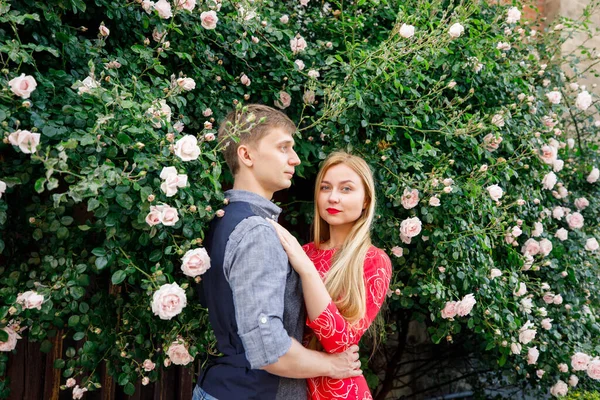 若いカップルがスタイリッシュに服を着て赤いドレスの女の子青いシャツの男と青いパンツがバラの茂みの近くの庭に立っています — ストック写真